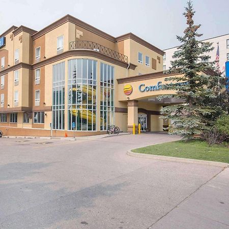 Comfort Inn&Suites University YYC Eksteriør bilde