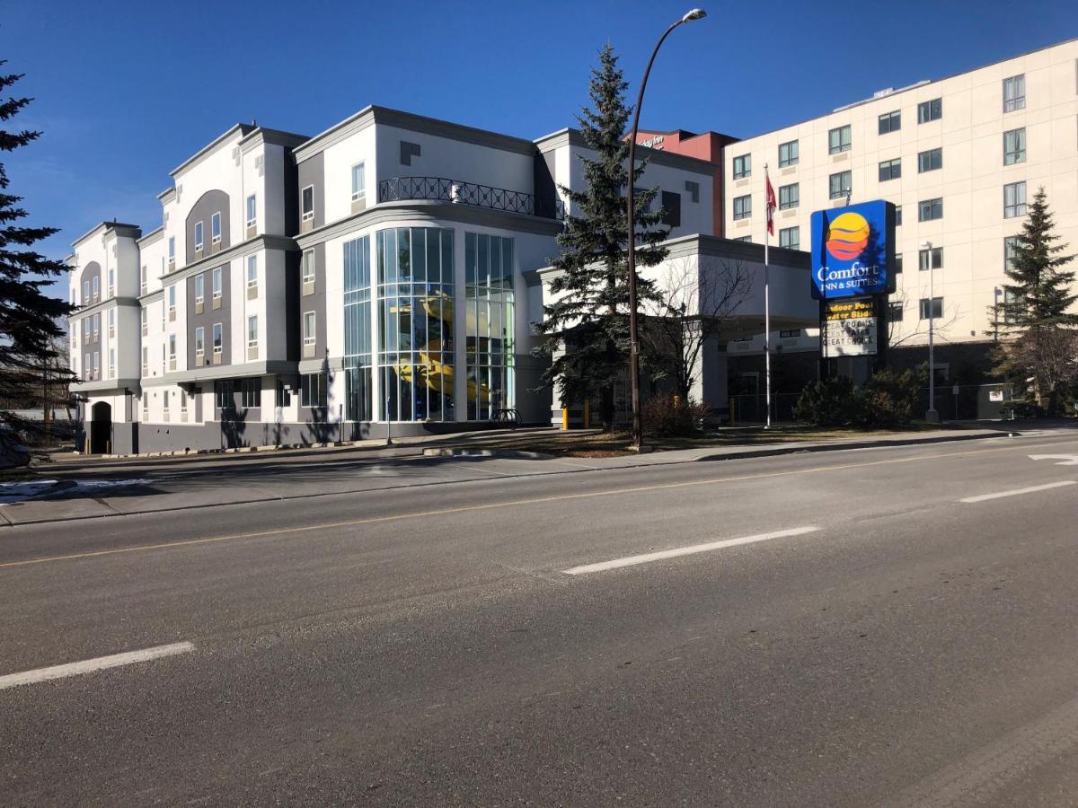 Comfort Inn&Suites University YYC Eksteriør bilde