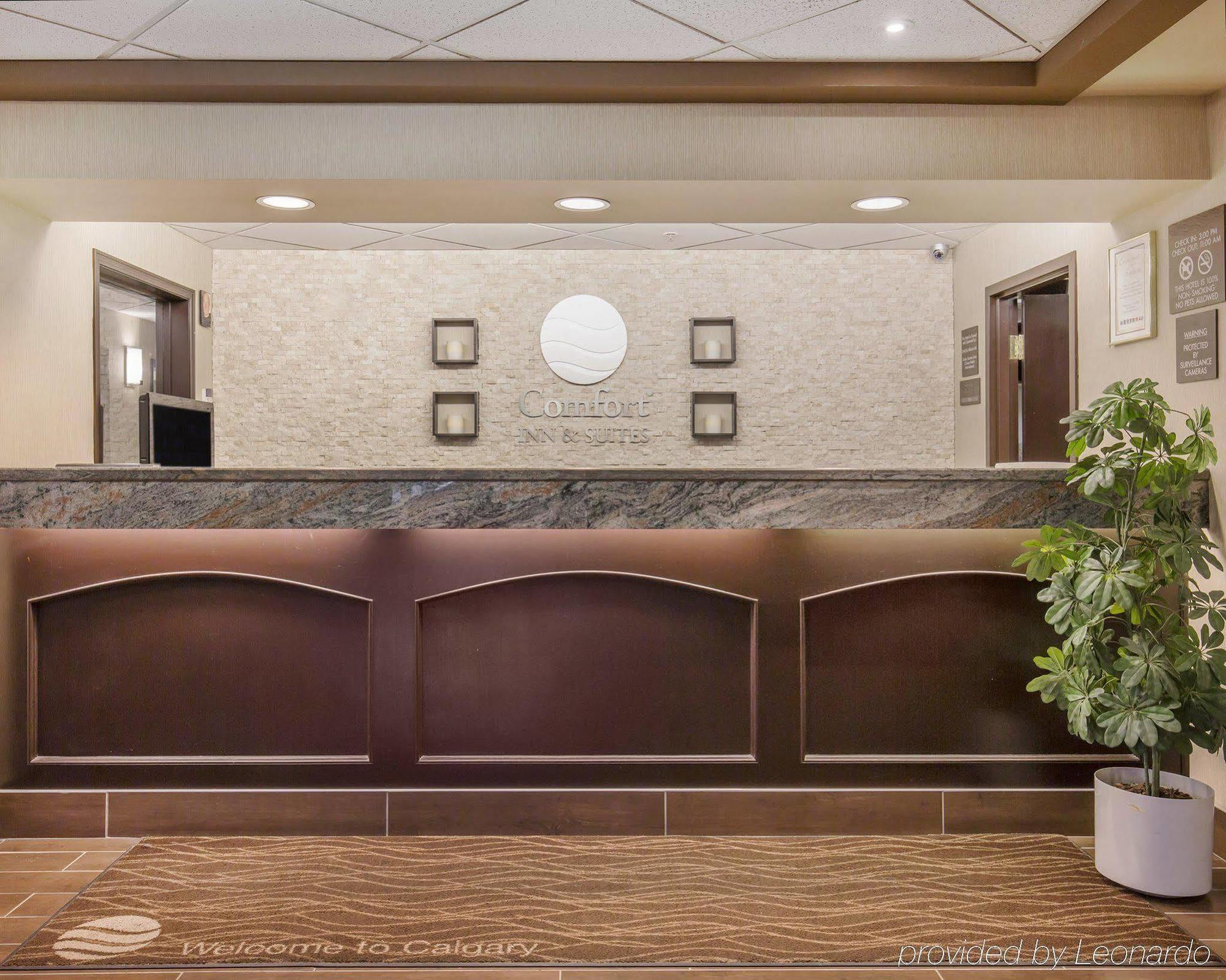 Comfort Inn&Suites University YYC Eksteriør bilde