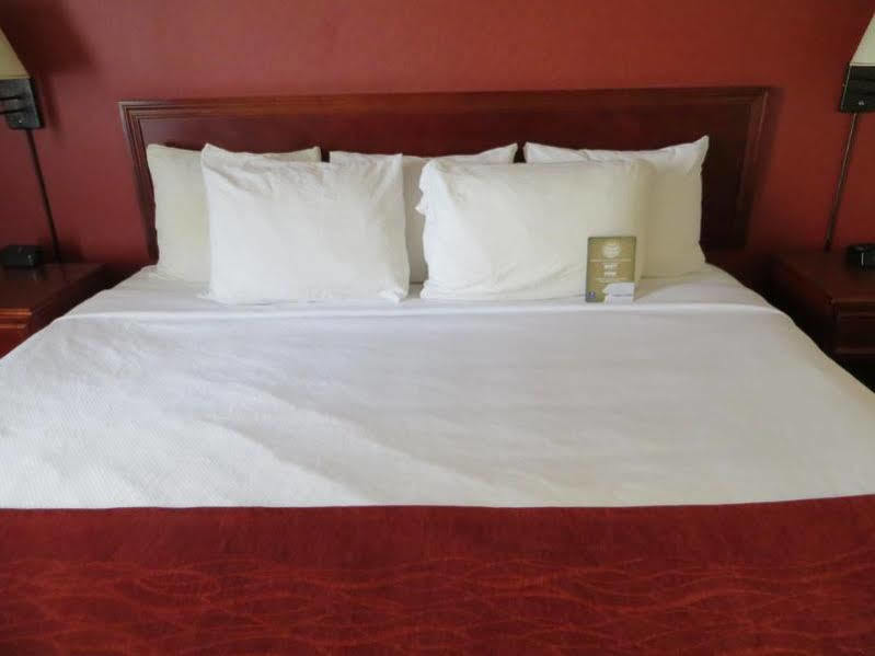 Comfort Inn&Suites University YYC Eksteriør bilde