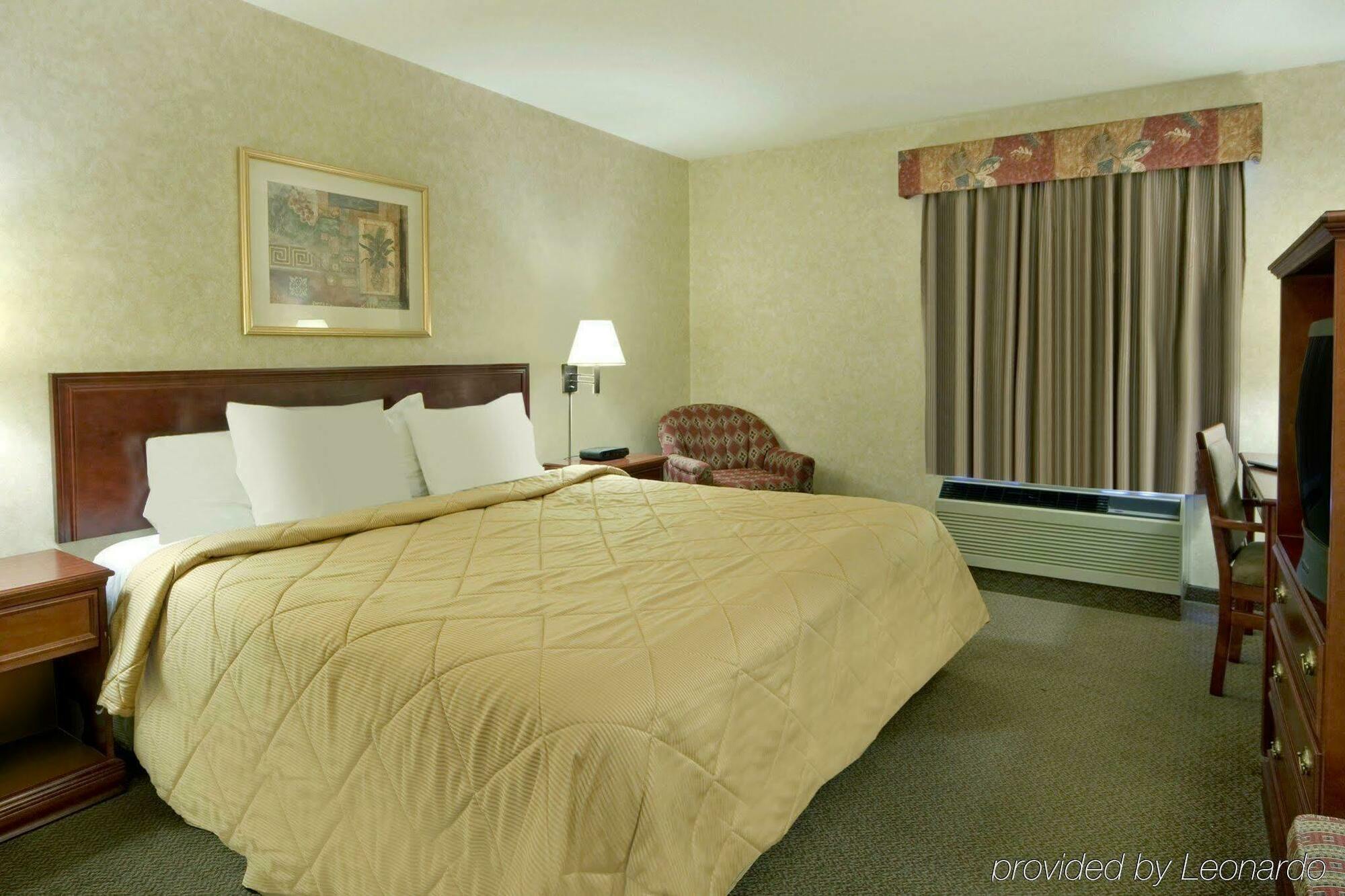 Comfort Inn&Suites University YYC Rom bilde